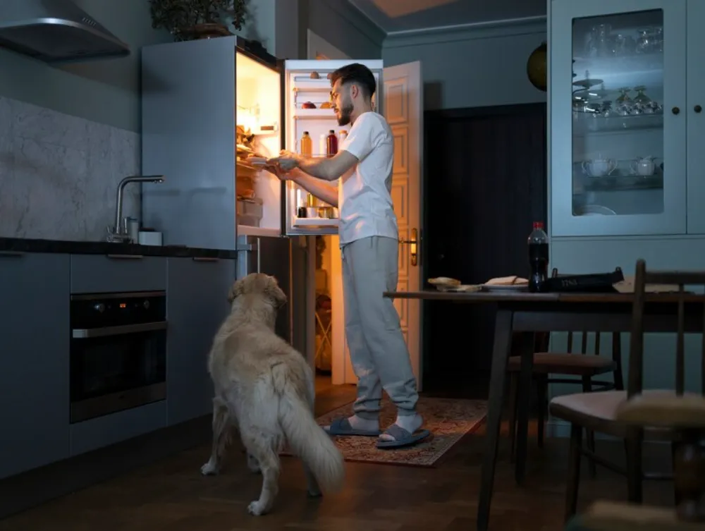 A man using Bosch fridge after repairing